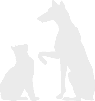 dog-and-cat-silhouette